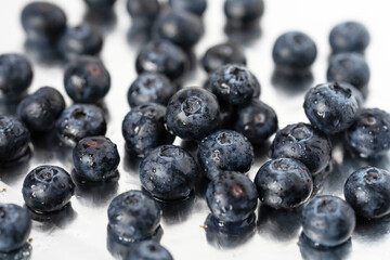 blueberries in water drops close up
