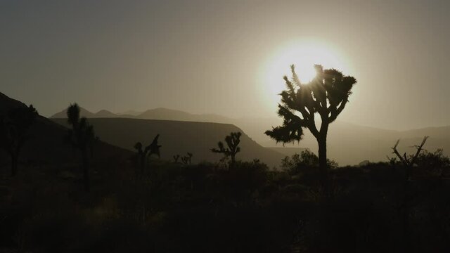 Locked down desert static sunset in Palm Springs, shot  on RED Helium 8K with 18mm lens at 60fps in RED Gamma 2.2
