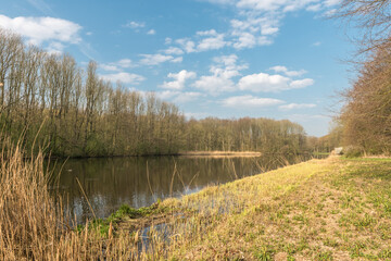 the Amsterdam forest