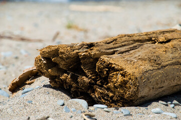 Close up of a driftwood log on a beach