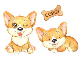 Watercolor cartoon illustration of cute corgi puppies. Dogs, pets
