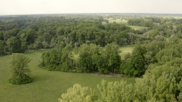 Aerial view of floodplain forest and meadows in summer. Drone footage of green nature scenery with vegetation from above in vivid colors.