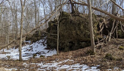 Mossy Rock in Forested Area in Winter with Snow