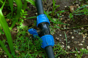 blue pipe for watering