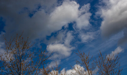 Obraz na płótnie Canvas soft white clouds against blue sky background.