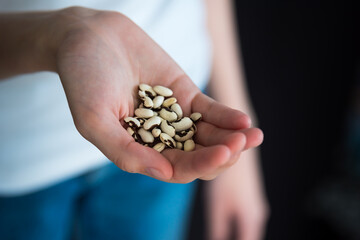 Close-up of woman's hand holding yellow wax bean seeds ready to plant in garden