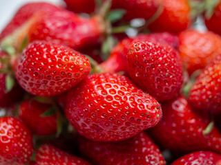 Harvest of red tasty strawberries closeup