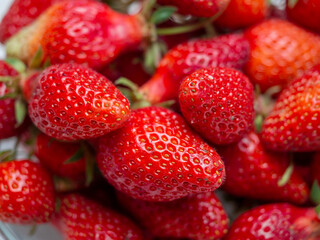 Harvest of red tasty strawberries closeup
