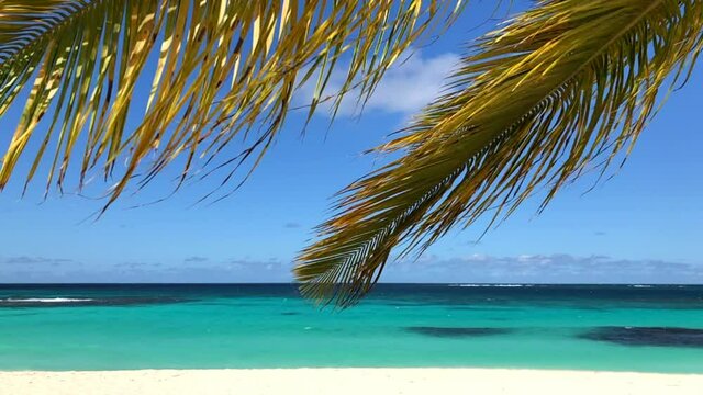 Palm tree leaf swing with Caribbean Sea in background