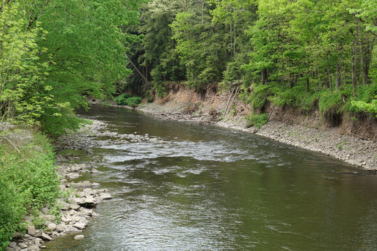 Huntington Creek Near Forks, Pennsylvania