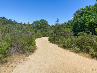 Fototapeta na wymiar Small dry dusty trails in the valley, San Diego, California, USA