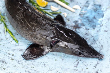 Fresh sturgeon fish with vegetables on wooden background