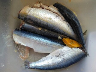 raw fish
