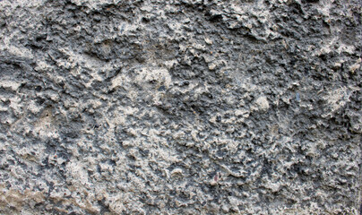 Wall plaster.Natural texture. Rough grey rough rustic textured background. Concrete plaster.