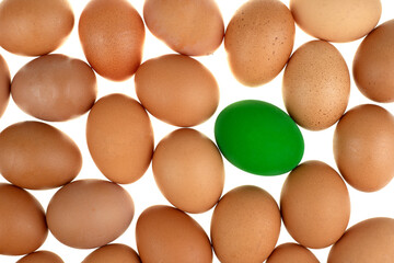 Close-up view of a green easter egg chicken surrounded by nature fresh eggs on white background