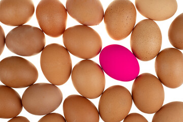 Close-up view of a pink easter egg chicken surrounded by nature fresh eggs on white background