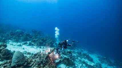 Seascape in turquoise water of coral reef in Caribbean Sea / Curacao with diver, fish, coral and sponge