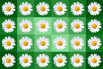 popart with twenty-four daisy blossoms on green colored background