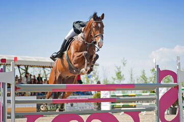 Equestrian sport: Rider on bay horse in jumping show