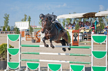 Equestrian sport: Rider on bay horse in jumping show