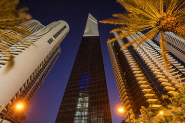 USA, Florida, Miami Beach, Low angle view of skyscrapers and palm trees