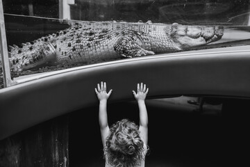 Sydney, New South Wales / Australia - January 2019: Little girl pulls hands to a crocodile in Wildlife Sydney Zoo. 