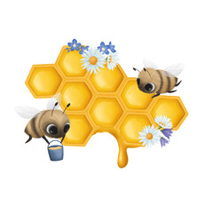 Honeycombs with Honey with Little Bees on a White Background