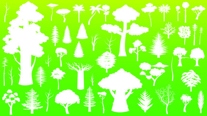 Set White Trees Vector Collection Design Elements Forest