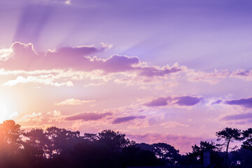 Beautiful with purple rose sunrise cloud on light background. Outdoor landscape. Blue background. Panorama view.