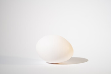 white egg on the white background