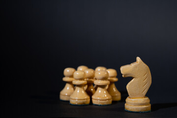 Concept or metaphor, chess pieces,  leadership, leader protects his people, teamwork,   