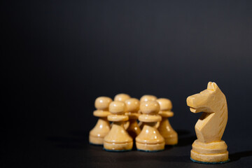 Concept or metaphor, chess pieces,  leadership, leader protects his people, teamwork,   