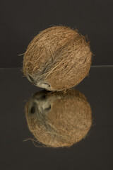 Large shaggy coconut isolated on a black mirror surface with reflection