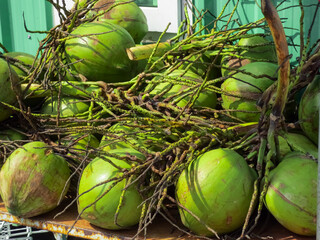 Coconut on a palm branch in a street market.