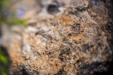 The stone texture. A stone in the water.