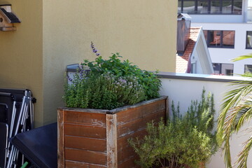 wooden raised herbal bed on a rooftop terrace garden