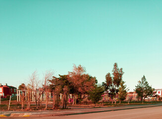 First fall days  in Patagonia park