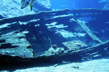 old wreck in the sea
