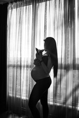 Pregnant woman in black clothes holds dog on belly on a dark background. Pregnancy, maternity, preparation and expectation concept - close up of happy pregnant woman with big belly at window.