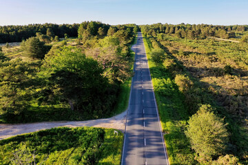 beautiful country road landscape with a road through a forest, a photo showing travel and tourism concept 