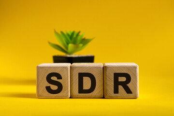 SDR - conceptual text on wooden cubes on a bright background and a black pot with a flower behind