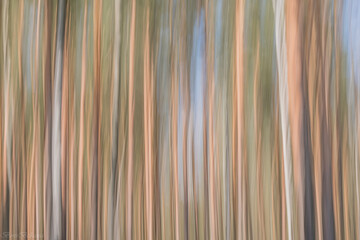 Obraz premium abstract striped background