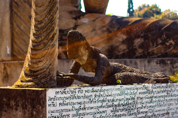 A beautiful view of statues in Buddha Park at Nong Khai, Thailand.