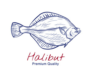 Vector sketch illustration of fresh halibut fish drawing isolated on white. Engraved style. natural business. Vintage, retro  object for menu, label, recipe, product packaging - obrazy, fototapety, plakaty