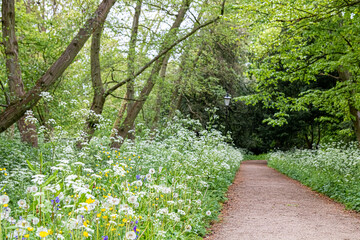 Grove path