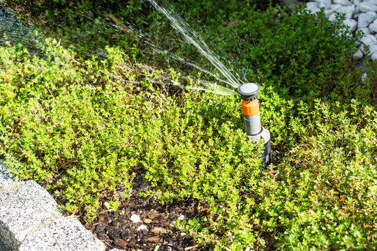 Garten bew&auml;ssern