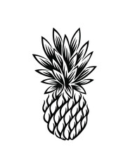 Pineapple Tropical Fruit. Vector Illustration - Vector