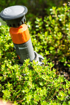 Garten bew&auml;ssern