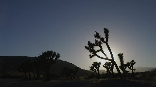 Desert landscape static sunset in Palm Springs, shot  on RED Helium 8K with 18mm lens at 60fps in RED Gamma 2.2