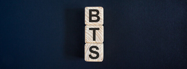 Wooden cubes with the inscription 'BTS'. Beautiful dark background, copy space.